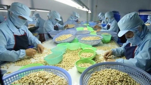 Cashew exports look to US$4 billion
