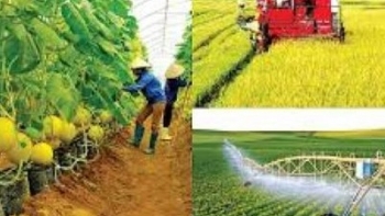 Việt Nam là điểm đến hấp dẫn với các công ty Đan Mạch trong lĩnh vực nông nghiệp