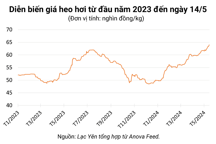 Heo tăng giá, HAGL, Dabaco và BAF chạy đua tái đàn