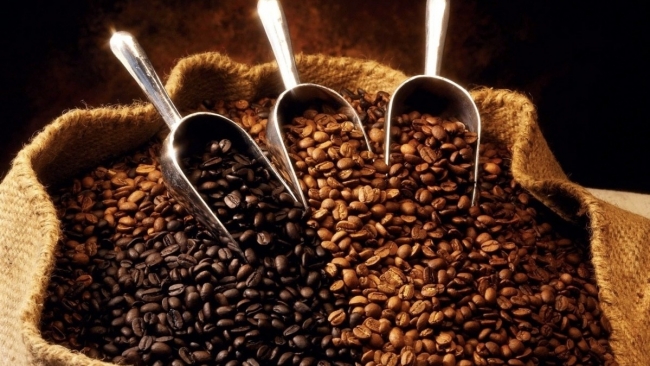 Ngày 20/5: Giá cà phê tăng mạnh, hồ tiêu neo trên mốc 110.000 đồng/kg, cao su giảm
