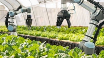 Khoa học công nghệ đóng góp cho ngành Nông nghiệp đạt mục tiêu trên 50%