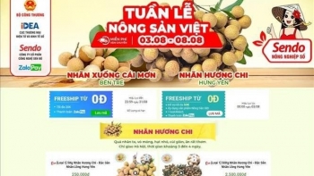 Businesses advised to focus on brand protection in online export