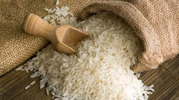 Ngày 21/5: Giá gạo điều chỉnh tăng 50 - 100 đồng/kg, lúa đi ngang
