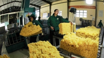 Vietnam’s rubber export value expected to reach 3.3 billion USD in 2024