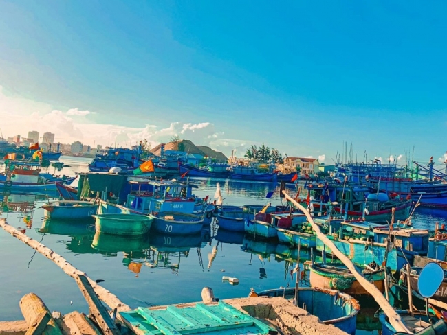 Bình Định: Di dời toàn bộ tàu neo đậu tại cảng cá Quy Nhơn về đầm Đề Gi