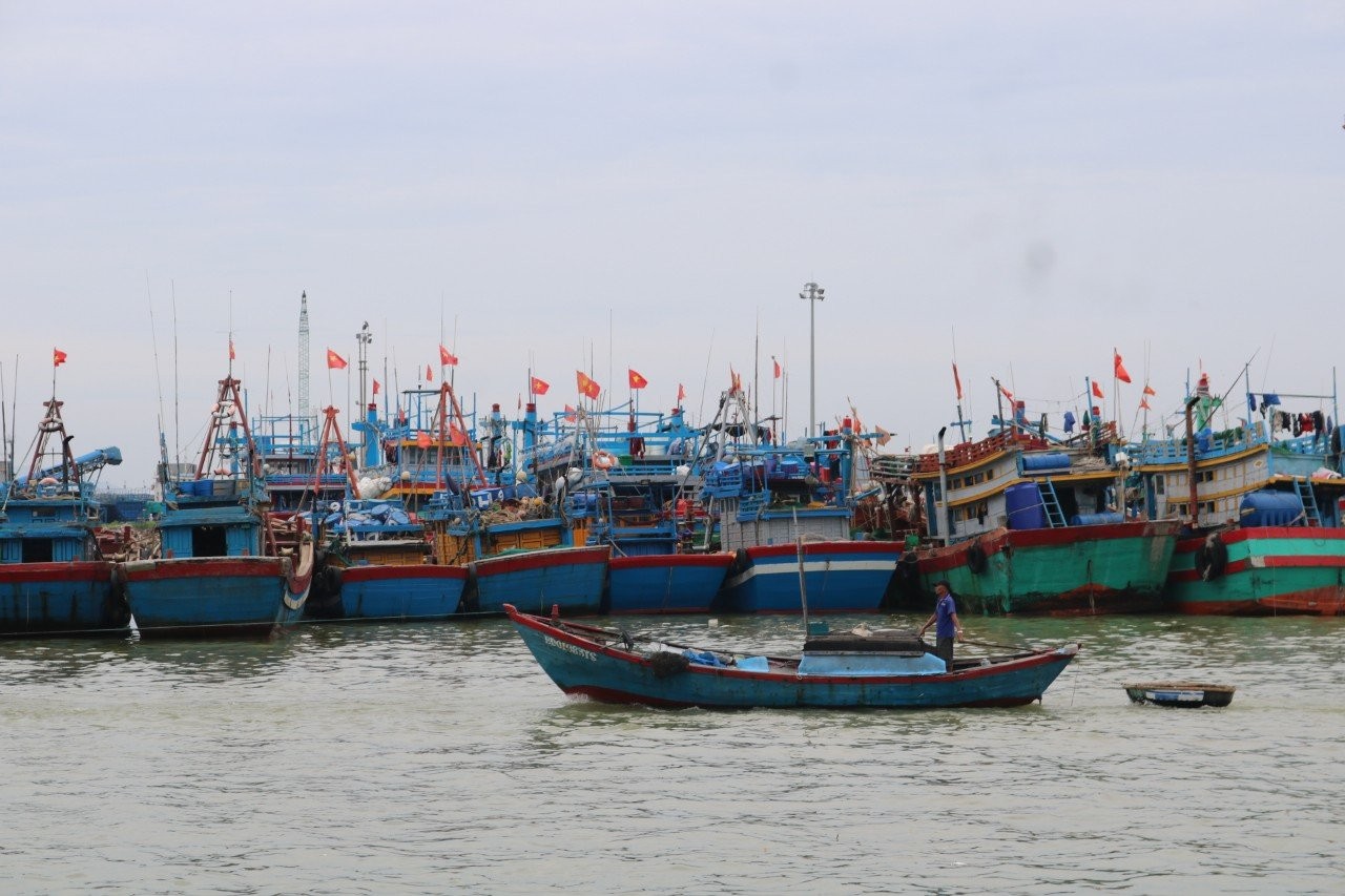 Bình Định: Di dời toàn bộ tàu neo đậu tại cảng cá Quy Nhơn về đầm Đề Gi