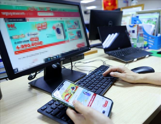 E-commerce helps Vietnamese goods go global: Conference