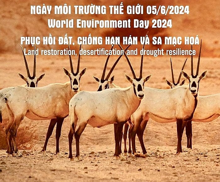 undefined Ngày Môi trường Thế giới (5/6/2024): “Phục hồi đất, chống hạn hán và sa mạc hoá"