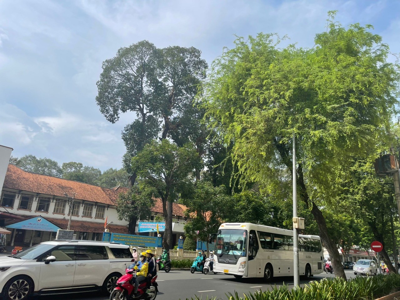 TP.Hồ Chí Minh: Miễn vé xe để thu hút hành khách đi xe buýt