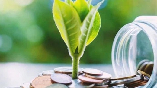 Mỏ Việt Bắc dự kiến chi hơn 130 tỷ đồng để trả cổ tức bằng tiền mặt