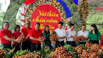 Kích cầu tiêu thụ vải thiều chín sớm năm 2024 tại hệ thống siêu thị của Central Retail
