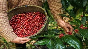 Export turnover surges 15% in first five months