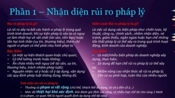 Doanh nghiệp rất cần sự hỗ trợ pháp lý của luật sư