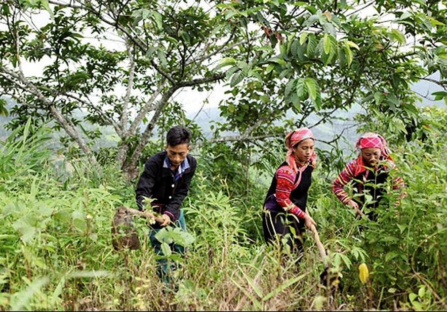 Cục Dự trữ Nhà nước khu vực Thanh Hóa kịp thời xuất cấp gạo hỗ trợ bảo vệ rừng