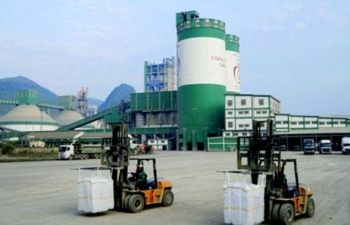 "Bức tranh ngược sáng" trong hoạt động kinh doanh của Xi măng Công Thanh