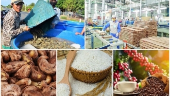 Agro-forestry-fishery exports surge 21% in five months