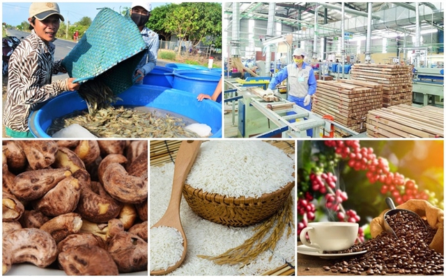 Agro-forestry-fishery exports surge 21% in five months - Ảnh 1.