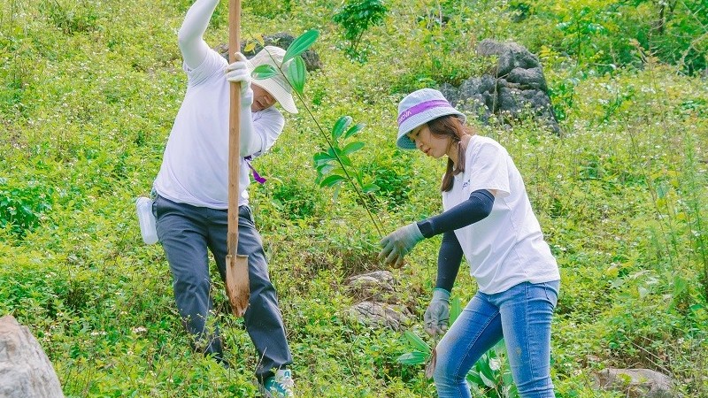 Trồng 16.000 cây phục hồi 25 ha rừng ở Hòa Bình và Sơn La