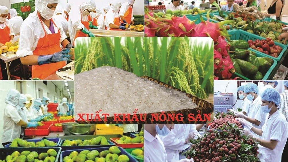 Vương quốc Anh cam kết xóa bỏ 94,4% số dòng thuế khi Hiệp định CPTPP có hiệu lực