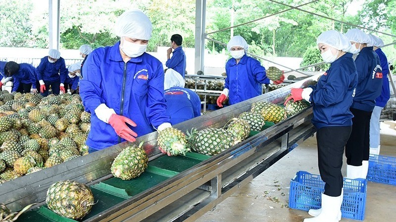 Vietnam aims for new record with fruit and vegetable export