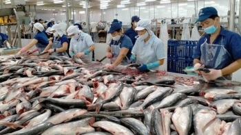 Vietnam’s fishery export likely to reach 4.4 billion USD in H1