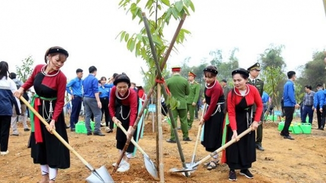 Tuyên Quang cán đích trước 1 năm Đề án trồng một tỷ cây xanh