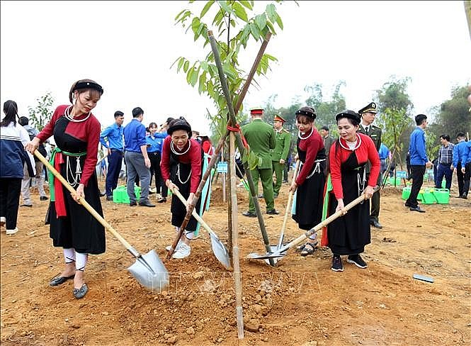 Tuyên Quang cán đích trước 1 năm Đề án trồng một tỷ cây xanh