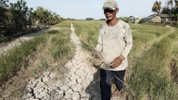 Nhiều giải pháp khoa học công nghệ ứng phó với hạn mặn