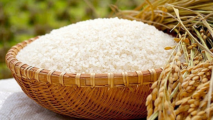 Ngày 16/6: Giá lúa gạo đồng loạt giảm nhẹ
