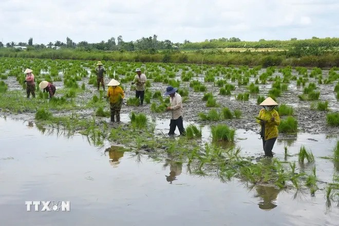 Circular economy seen as lifeline for Mekong Delta