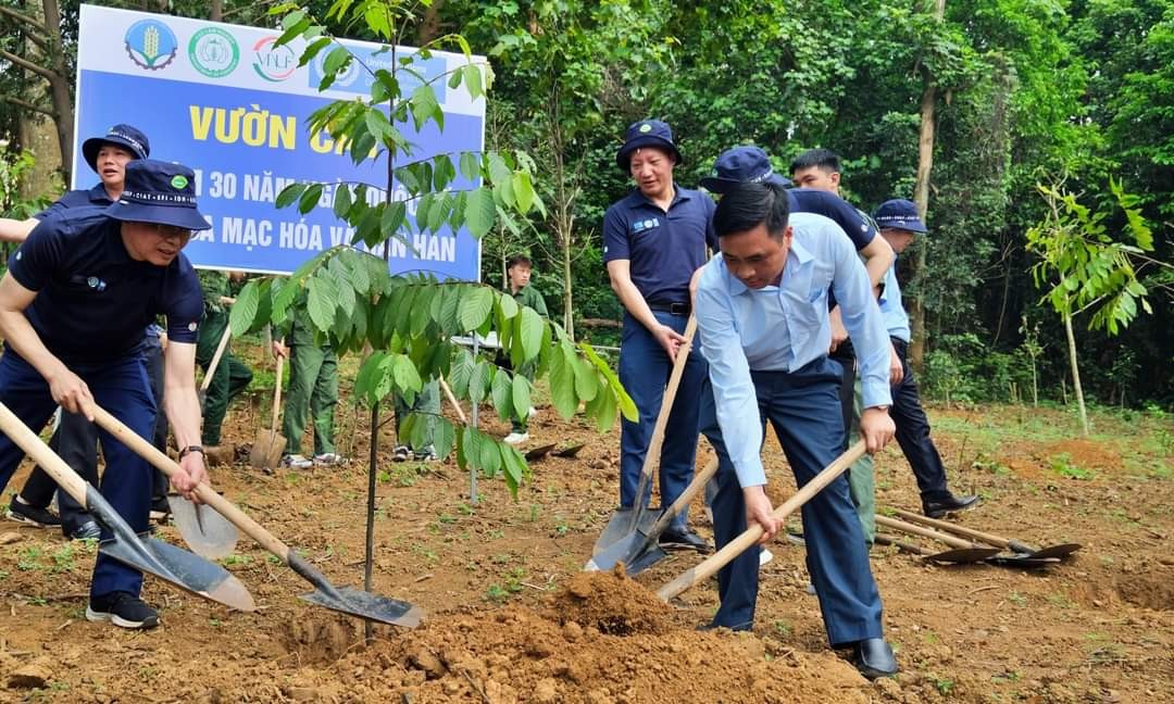 Trồng 4.000 cây xanh nhân Ngày Quốc tế chống sa mạc hóa và hạn hán