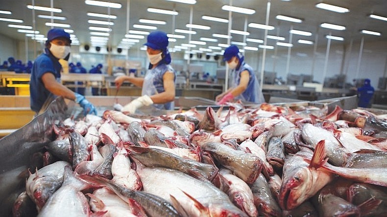 Facing numerous challenges, Vietnam does not expect a rebound in seafood exports until fourth quarter Facing numerous challenges, Vietnam does not expect a rebound in seafood exports until fourth quarter