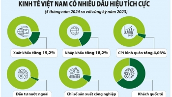 Kinh tế Việt Nam lấy lại nhịp độ tăng trưởng cao