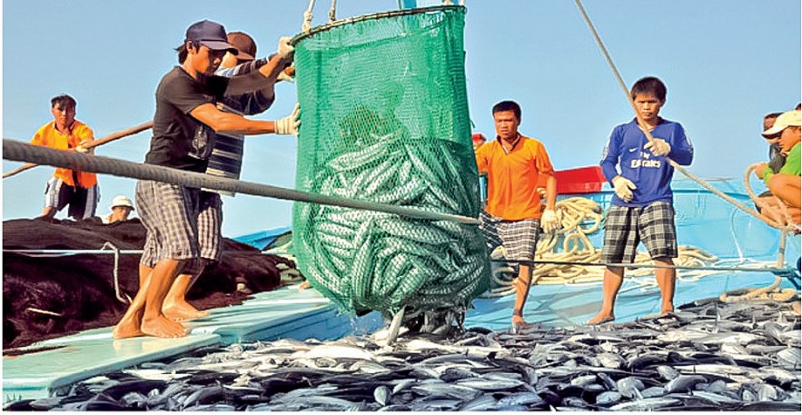 Kho bạc Nhà nước đồng hành cùng ngư dân vươn khơi, bám biển