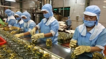 Exports up 13.8% in first half: ministry