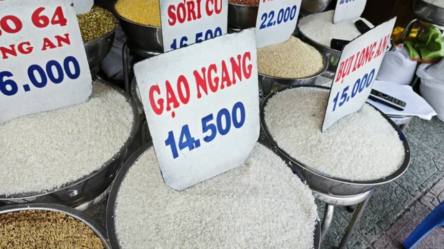 Ngày 24/6: Giá gạo tăng nhẹ 50 đồng/kg, lúa đi ngang sáng đầu tuần