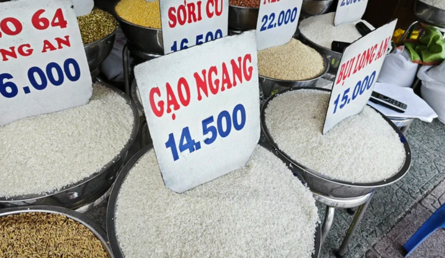 Ngày 24/6: Giá gạo tăng nhẹ 50 đồng/kg, lúa đi ngang sáng đầu tuần