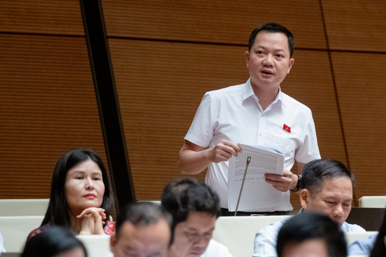 Đại biểu Trịnh Xuân An: Giá phân bón tăng không phải do tăng thuế