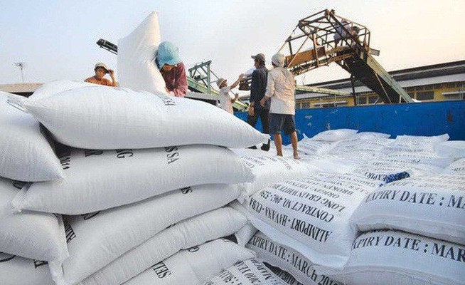 Cơ hội cho gạo Việt Nam khi Philippines giảm thuế nhập khẩu đến năm 2028