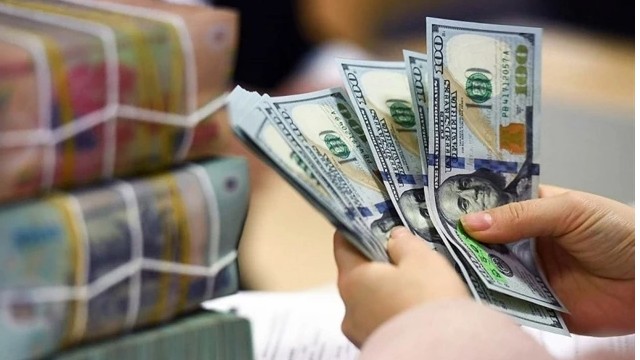 Deposits at Vietnamese banks reach record high of 628 billion USD