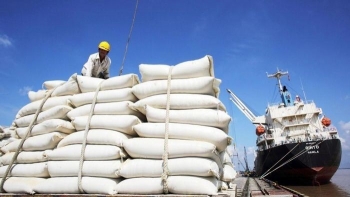 Ngày 27/6: Giá gạo xuất khẩu bất ngờ tăng nhẹ, gạo trong nước ổn định