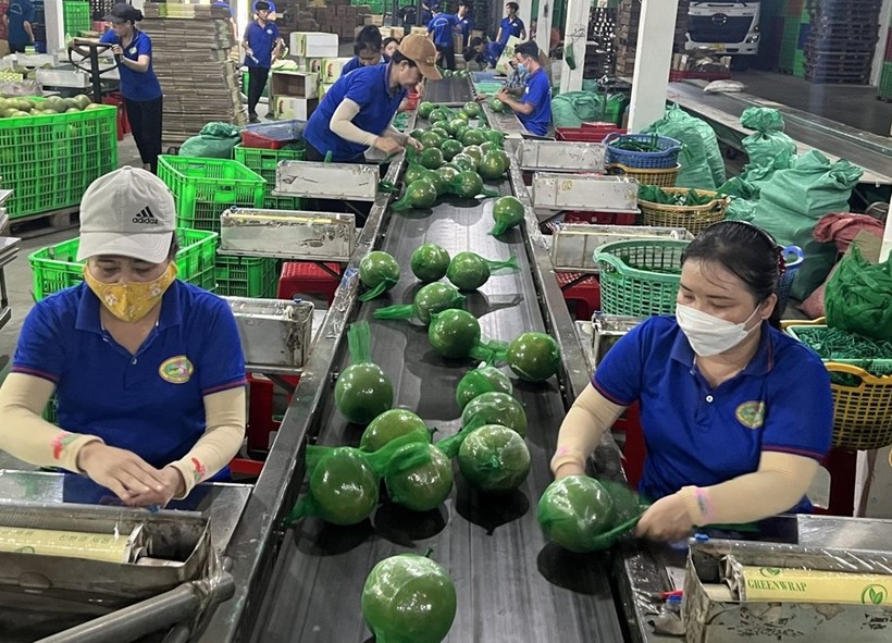 Export recovery helps boost Vietnam’s economic growth
