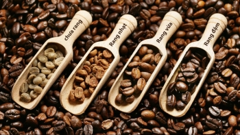 Ngày 28/6: Giá cà phê Arabica tăng mạnh, hồ tiêu đi ngang, cao su cùng giảm
