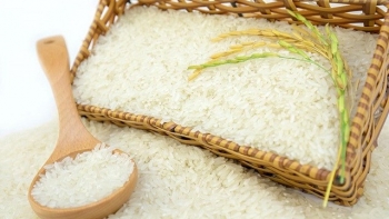 Ngày 28/6: Giá gạo giảm 100 -150 đồng/kg, giá lúa đi ngang