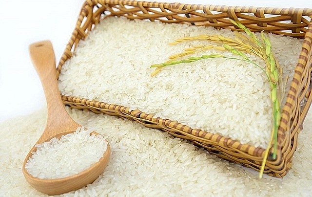 Ngày 28/6: Giá gạo giảm 100 -150 đồng/kg, giá lúa đi ngang