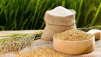 Ngày 29/6: Giá lúa gạo thị trường trong nước ổn định, gạo xuất khẩu chào bán giá thấp
