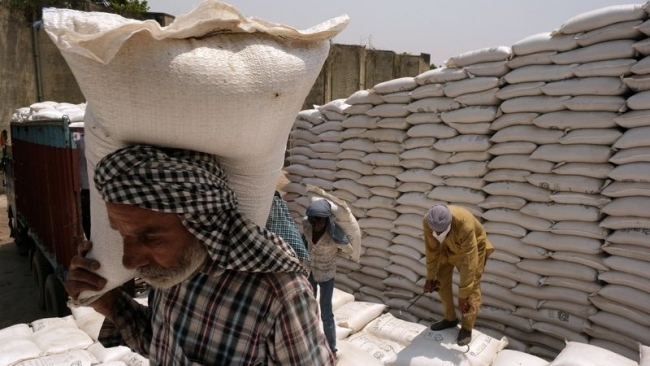 Thị trường nông sản tuần qua: Giá gạo Ấn Độ, Thái Lan giảm do chi phí vận chuyển và cạnh tranh
