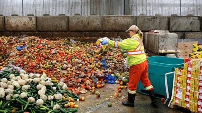 Hạn chế lãng phí thực phẩm để cứu đói cho hàng triệu người