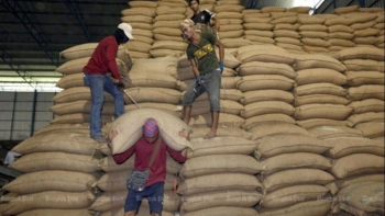 Thái Lan vẫn giữ vị trí thứ hai về xuất khẩu gạo