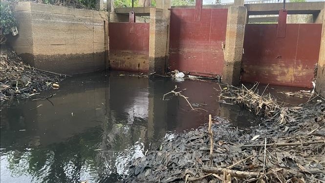 Bà Rịa-Vũng Tàu: Xử phạt hơn 1,2 tỷ đồng doanh nghiệp xả thải vượt mức cho phép